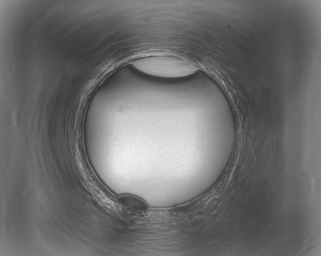 X0000080740145200612150941