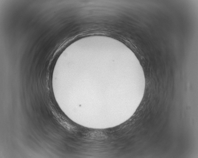 X0000080740146200612150941