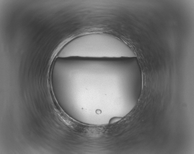 X0000080740147200612150941