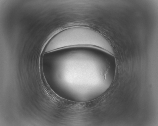 X0000080740148200612150941