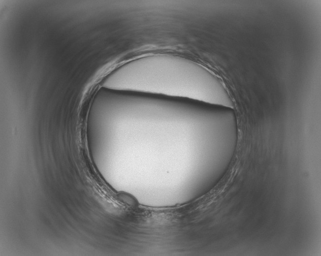X0000080740149200612150941
