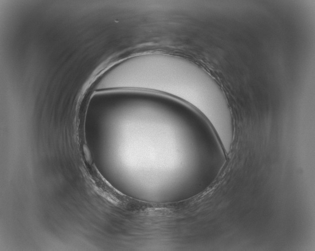 X0000080740150200612150941
