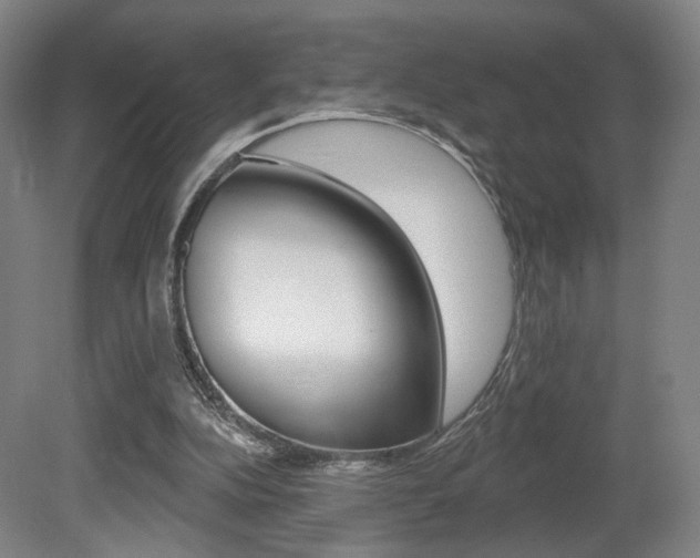 X0000080740152200612150941