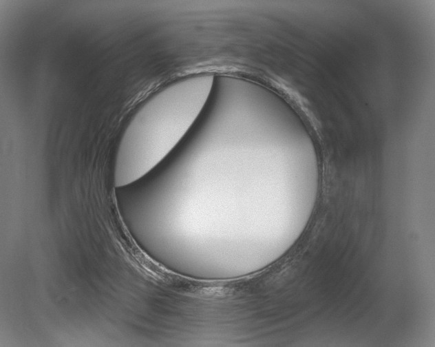 X0000080740153200612150941