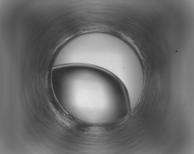 X0000080740154200612150941