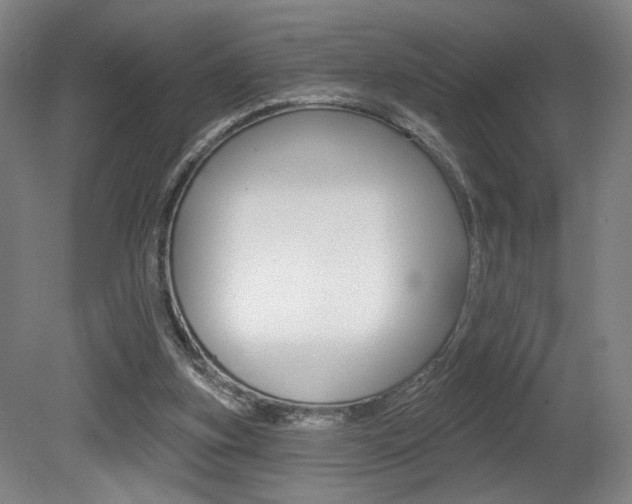 X0000080740155200612150941