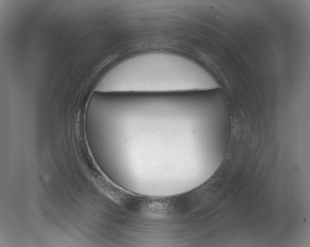 X0000080740163200612150941