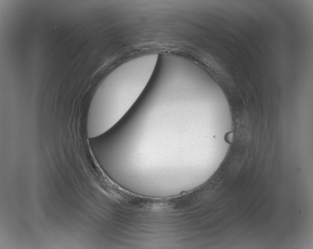 X0000080740165200612150941