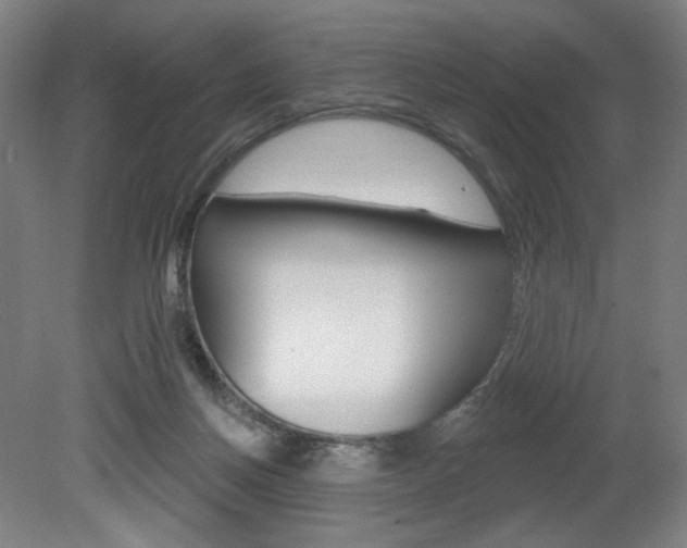 X0000080740166200612150941