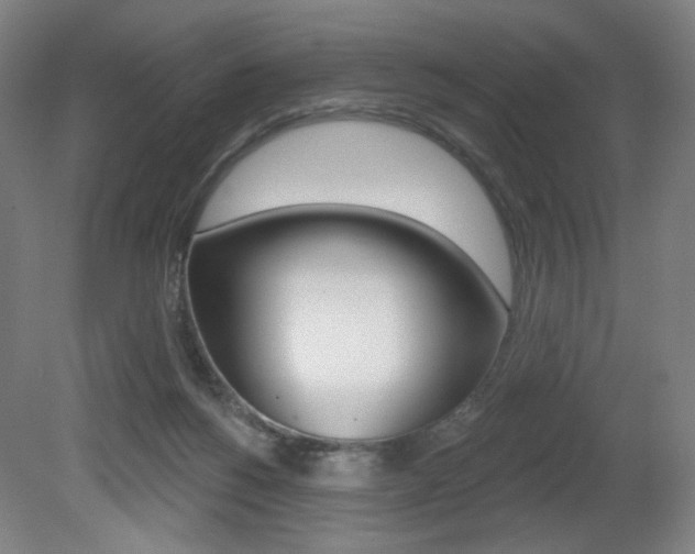X0000080740168200612150941
