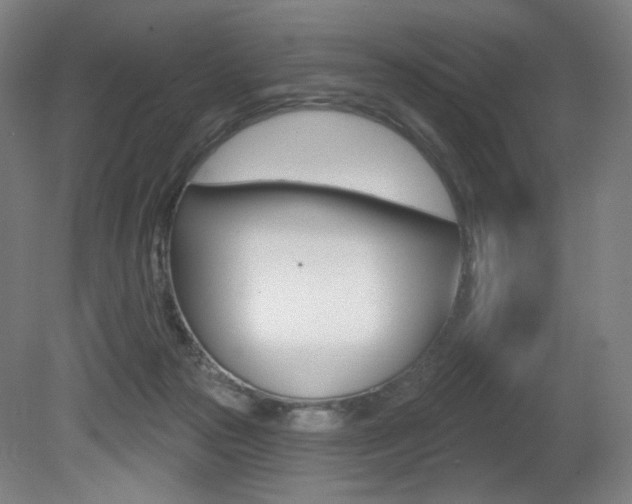 X0000080740169200612150941