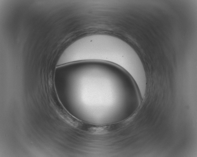 X0000080740170200612150941