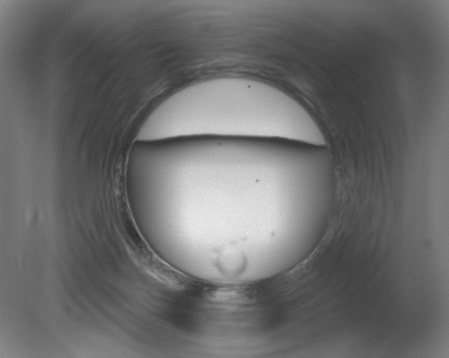 X0000080740171200612150941