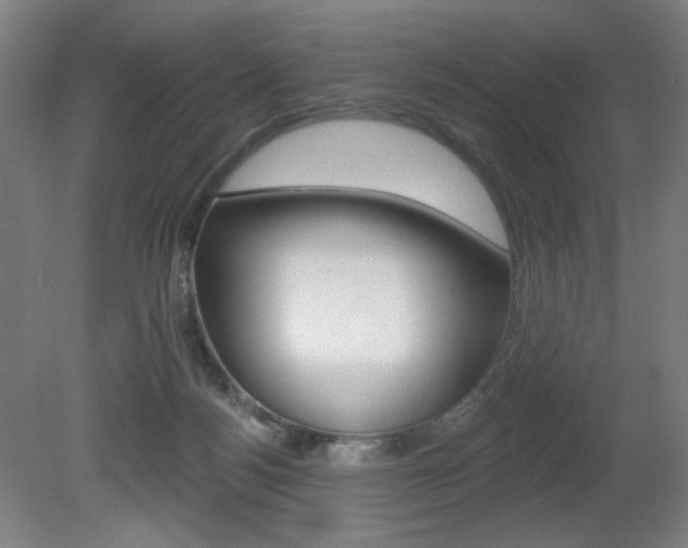 X0000080740172200612150941