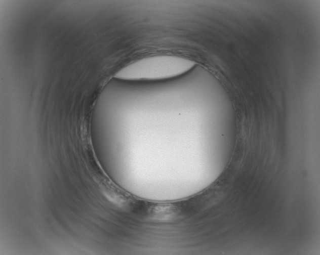 X0000080740173200612150941