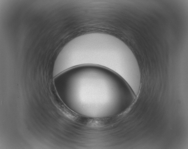 X0000080740174200612150941