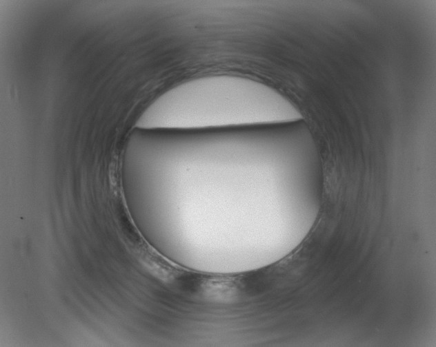 X0000080740175200612150941