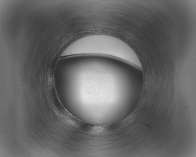 X0000080740176200612150941