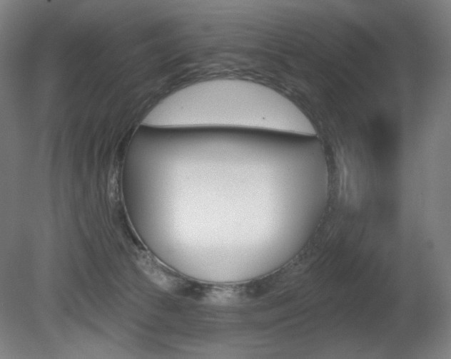 X0000080740177200612150941