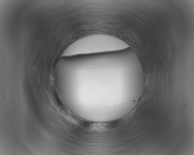 X0000080740179200612150941