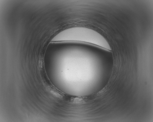 X0000080740180200612150941