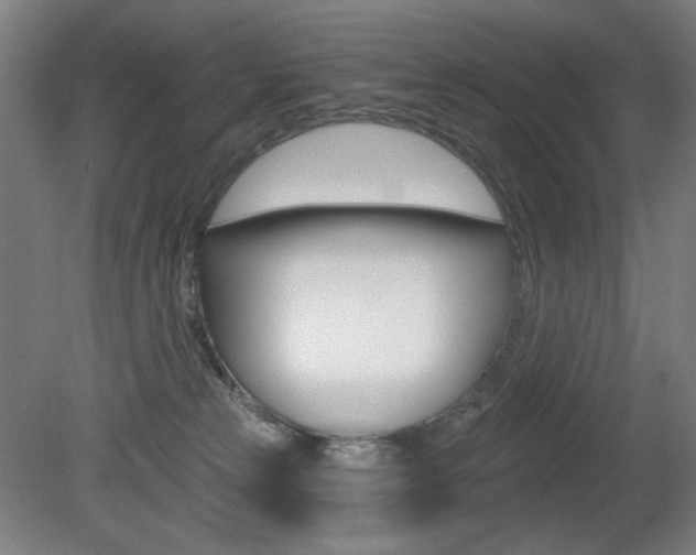 X0000080740181200612150941