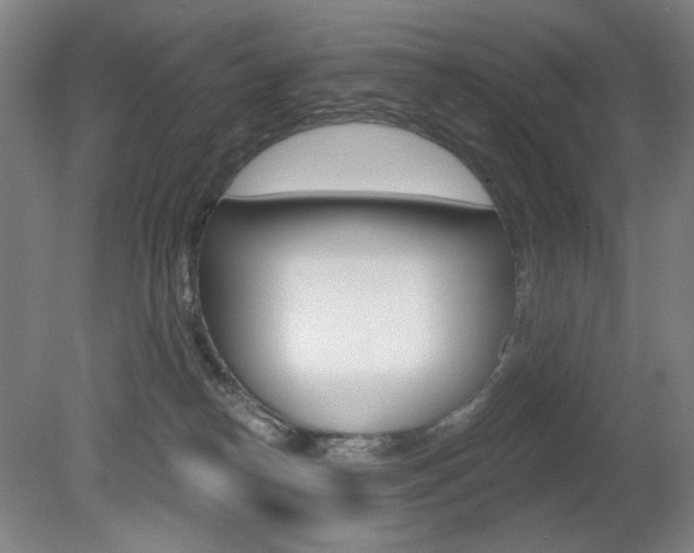 X0000080740182200612150941
