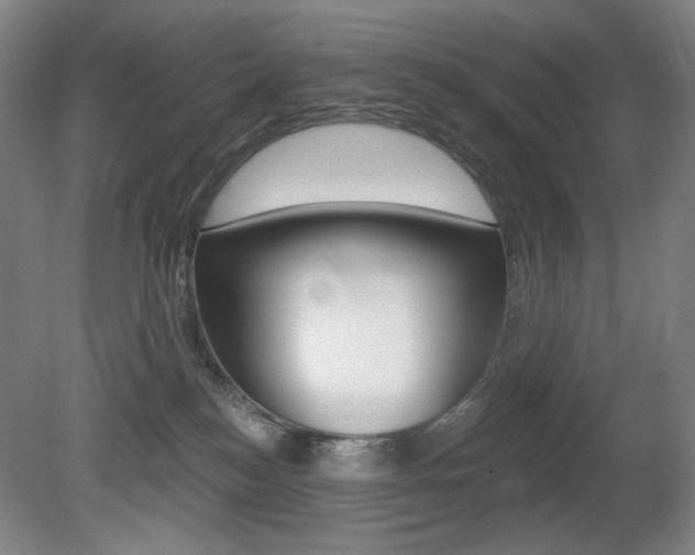 X0000080740184200612150941
