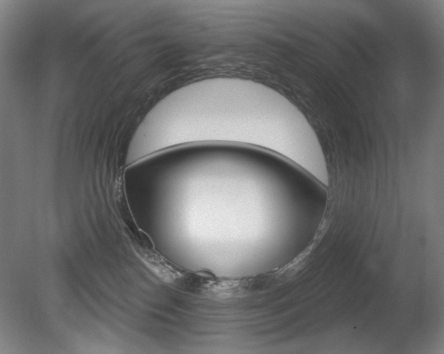 X0000080740186200612150941