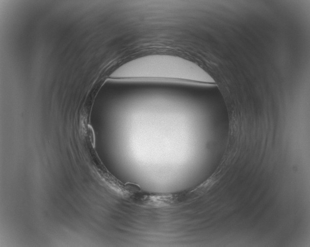 X0000080740188200612150941