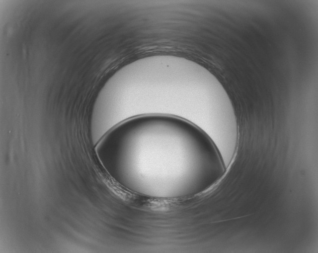 X0000080740190200612150941