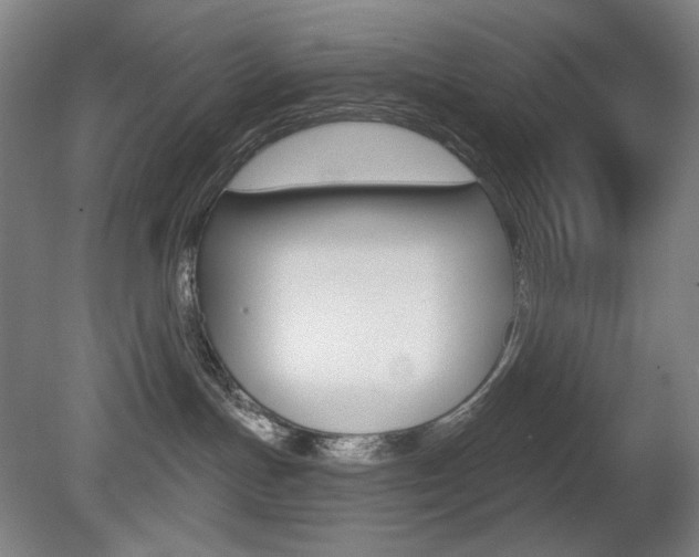 X0000080740191200612150941