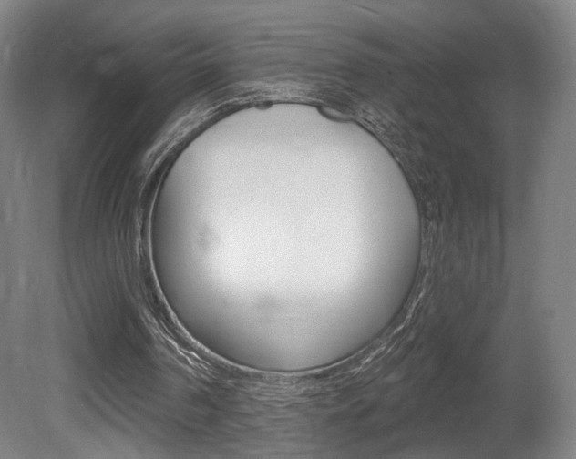 X0000080740194200612150941