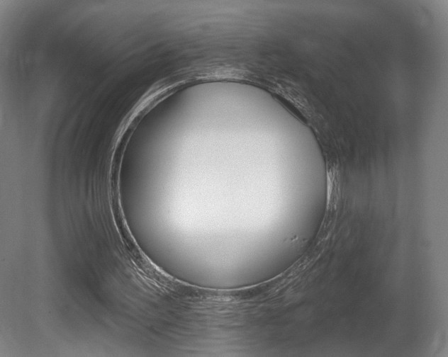 X0000080740195200612150941