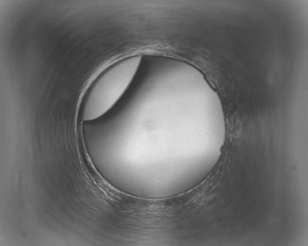 X0000080740196200612150941