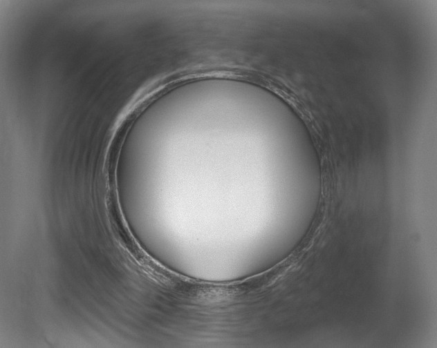 X0000080740198200612150941