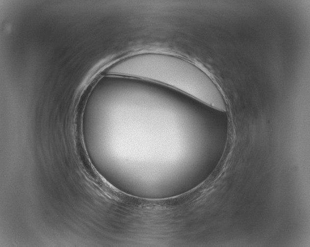 X0000080740199200612150941