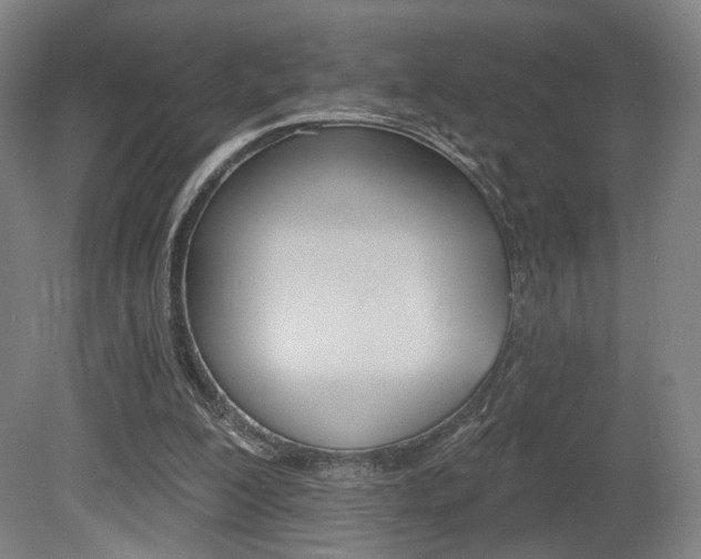 X0000080740200200612150941
