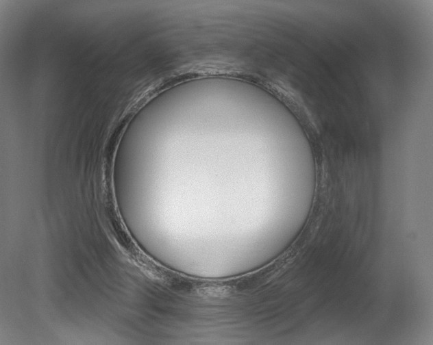 X0000080740202200612150941