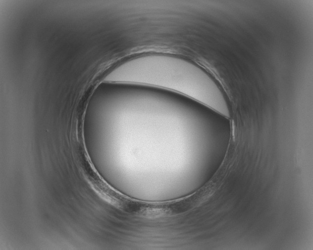 X0000080740205200612150940