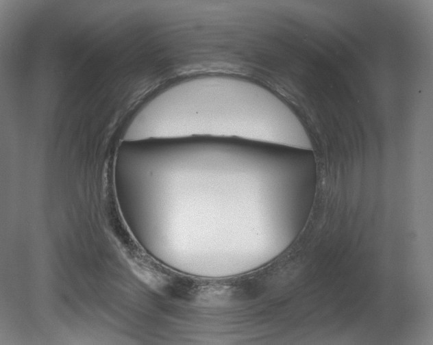 X0000080740206200612150940
