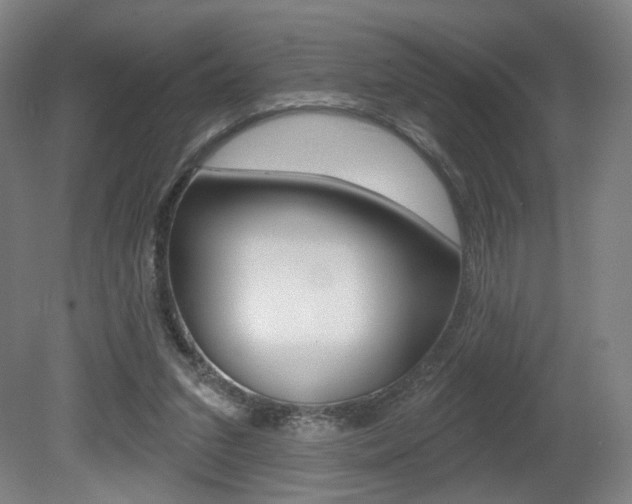 X0000080740207200612150940