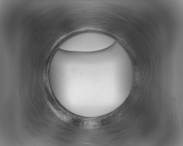 X0000080740208200612150940