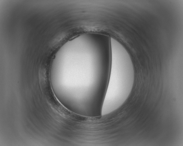 X0000080740211200612150940