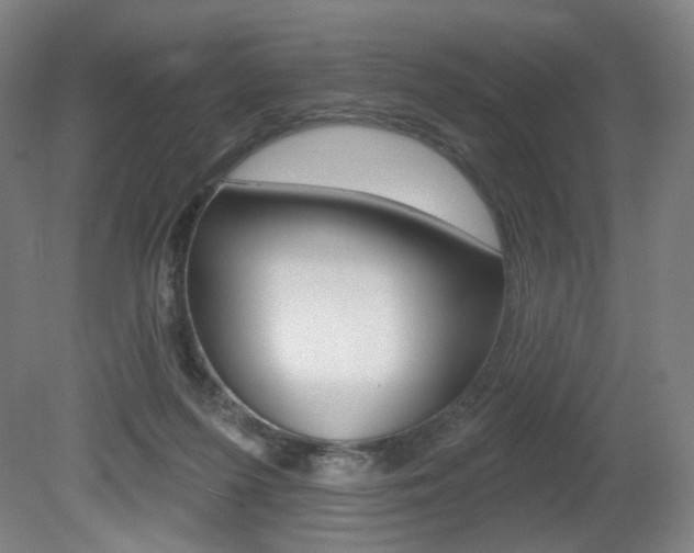 X0000080740215200612150940