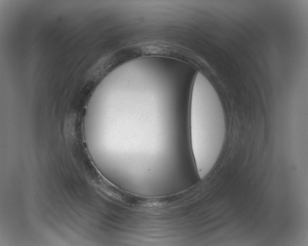 X0000080740217200612150940