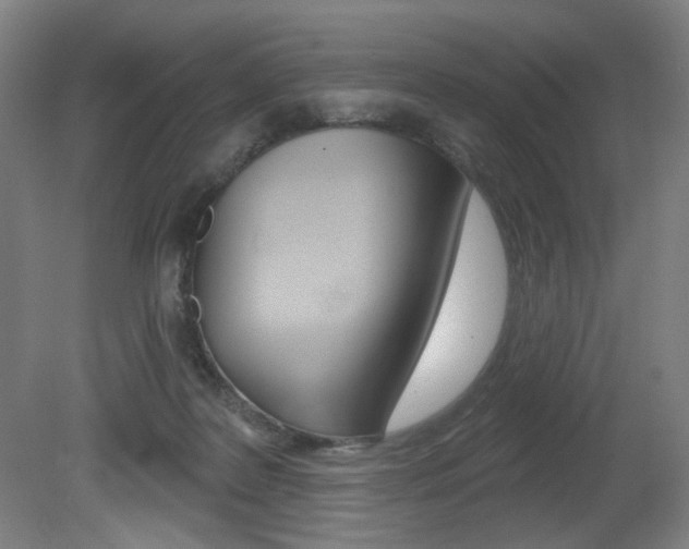X0000080740219200612150940