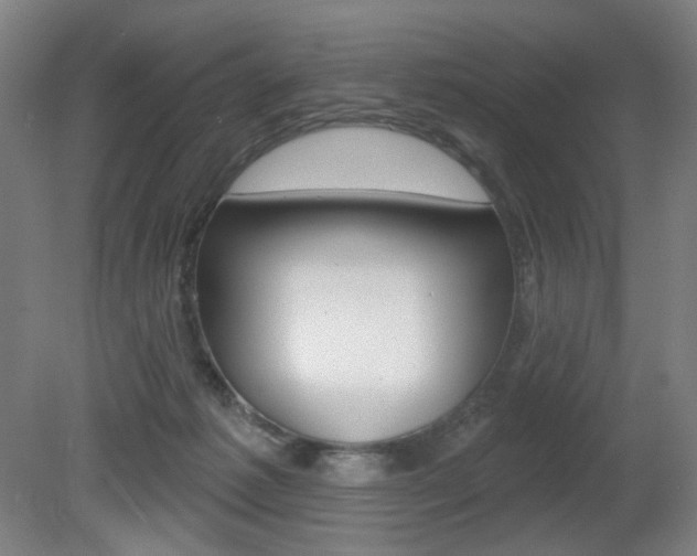 X0000080740221200612150940