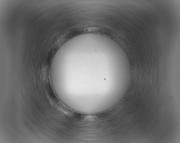 X0000080740222200612150940