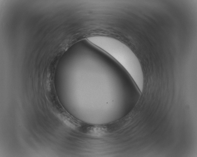 X0000080740223200612150940